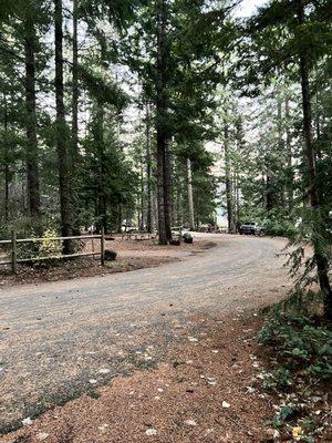 Detroit Lake State Park - campground