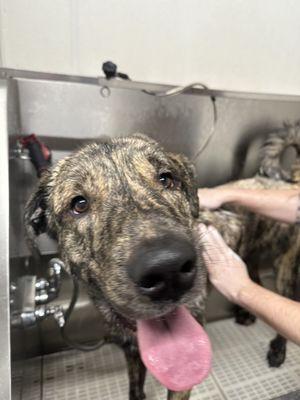 Wet boy in the tub