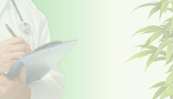 Florida Medical Marijuana Doctors Inc.