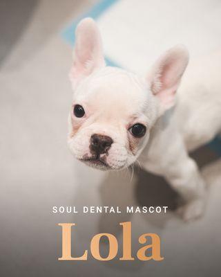 Meet our new Soul Dental mascot, Lola!