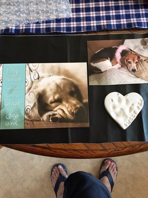 Our Sweet Pea and the paw print we received from All Kinds.  Thank you