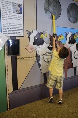 Interactive museum exhibit