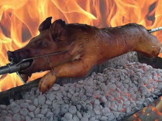 Whole Roasted Pigs