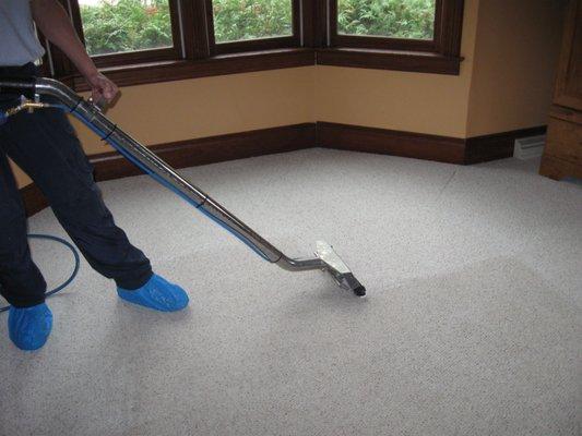 Carpet Cleaning