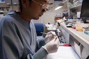 More work in our state-of-the-art cosmetic dentistry lab facility where our team continues to prepare a dental implant.