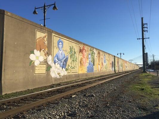 2016-01-01 15.12.27;  Missouri Wall Of Fame (Downtown Flood Wall), Cape Girardeau MO