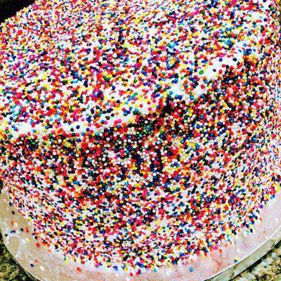 Coolest cake I have ever had. Vanilla cake covered in sprinkles!