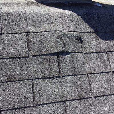 Damaged shingle found from walking the roof.