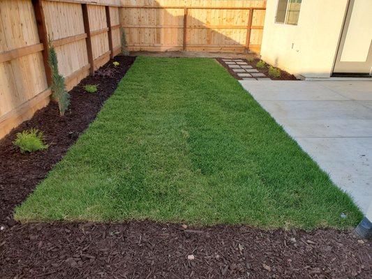 My beautiful back yard lawn.  A great beginning to a relaxing outdoor area.