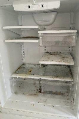 Fridge before