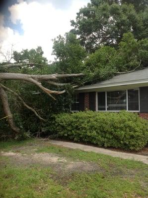 Emergency Tree Removal