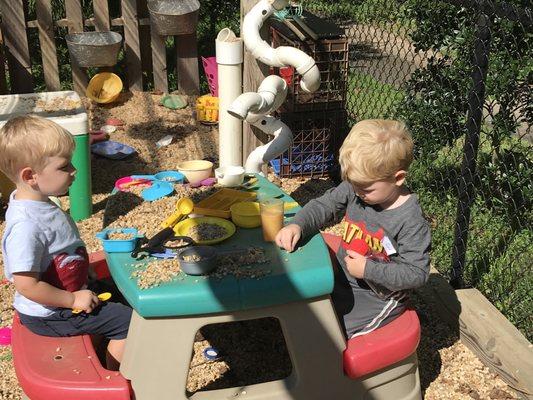 Busy day but always time for a picnic!