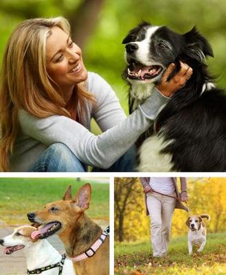 Professional Dog Walking Services