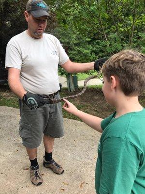 4 ft Rat Snake from our attic