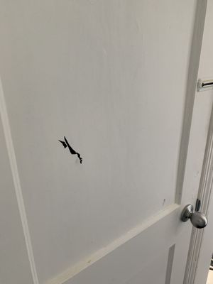 Damaged basement door