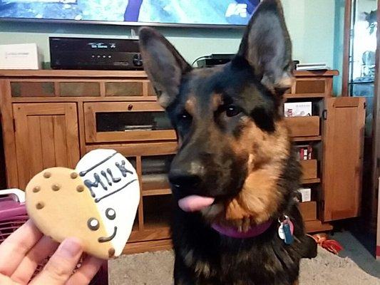 Pumpkin thought the cookies were scrumptious!