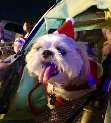 Mocha Coconut and little kids enjoying the parade!