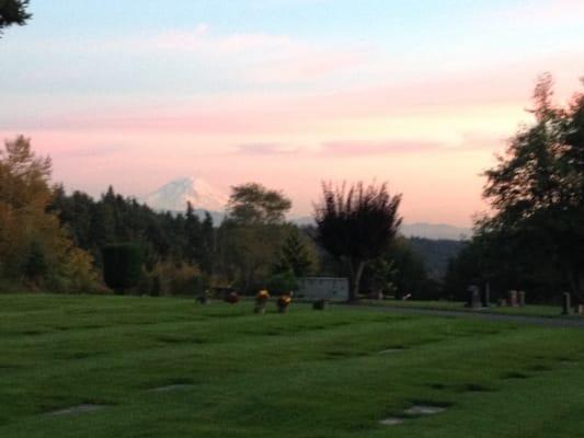 View from back of cemetery.