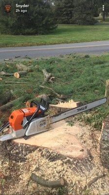 Tree removal