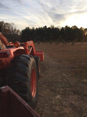 Windy Knoll Farms