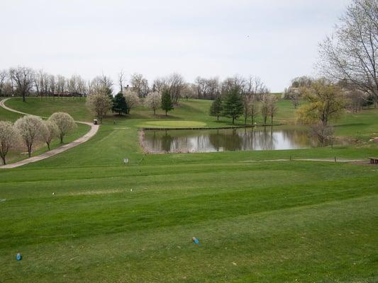 Water hole at Duck Hollow - yep, they have ducks