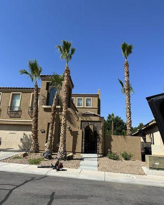 Desert Oasis Landscaping