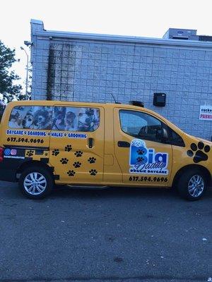 Look for our new Doggie Taxi!