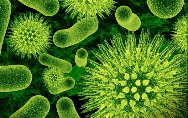 Healthy bacteria