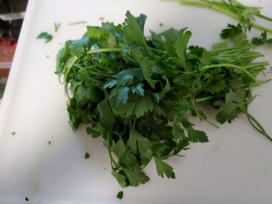 Excellent quality flat Italian parsley