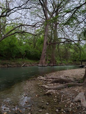 Medina river