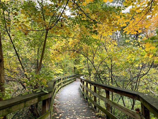 Hayden Run Falls in the Fall