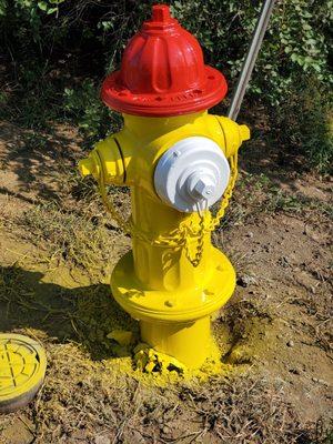 Fire hydrant sandblasting painting polysiloxane muscatpainting.com