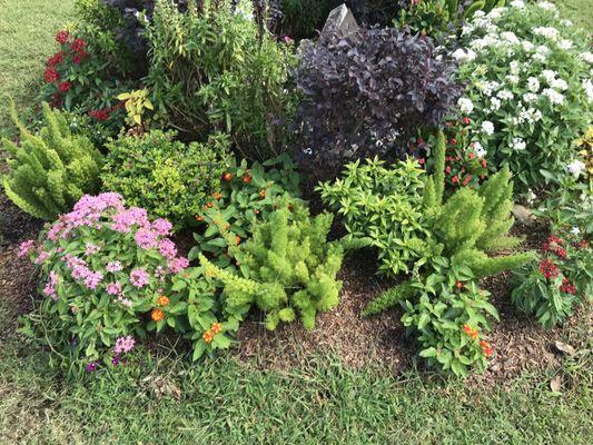 Memorial flower bed designed and maintained by Annie's Garden Shed!