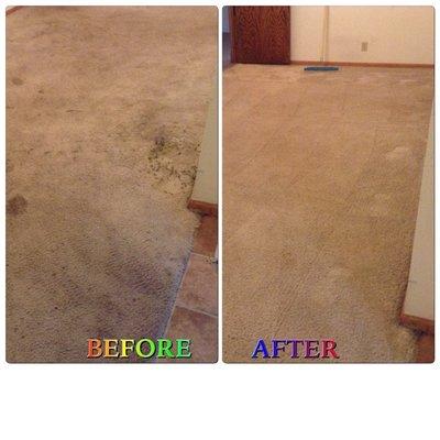 Clean Steam Carpet Care