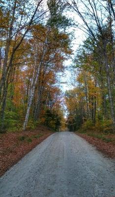 Green Mountain National Forest