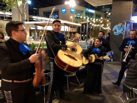 Mariachi Chapala