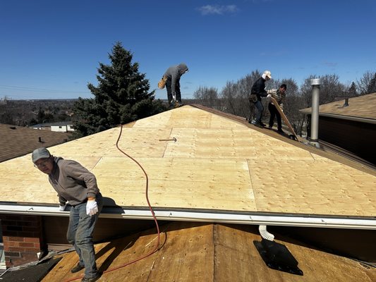 New roof install (ply)