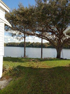 Canopy lift on an oak and two cypress trees to be able to view the lake