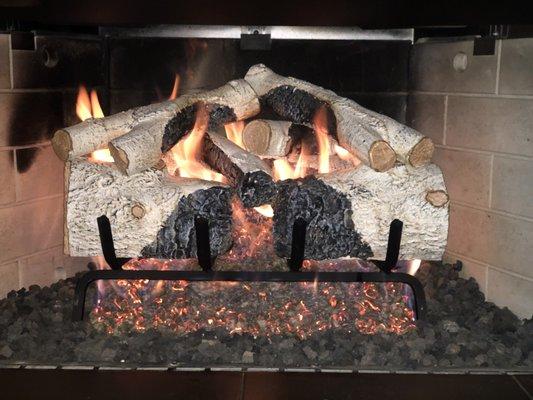 Charred white mountain birch logs