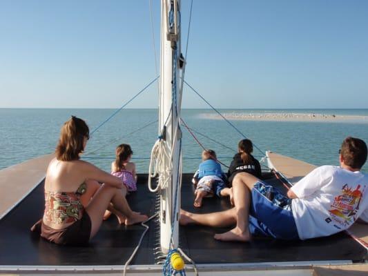 Family sailing and shelling tour for dolphins and Wildlife in MAroc Island and Naples Florida