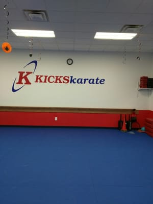 Kicks Karate