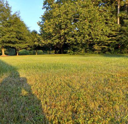 The grass is not really even cut, it's broken off.  Blades have need sharpening for weeks!