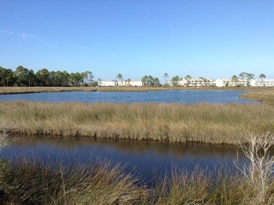 One of the many natural wetlands on Innerarity Island