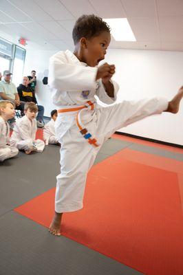 Vertical Taekwondo Lee's Summit
-Looking for Karate, Taekwondo or Martial Arts Fun? Check us Out!