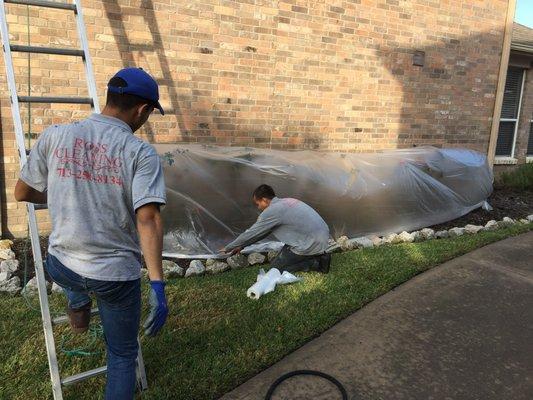 Protecting delicate plants and flowers during the washing of a home.