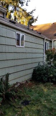 Removing cedar shake