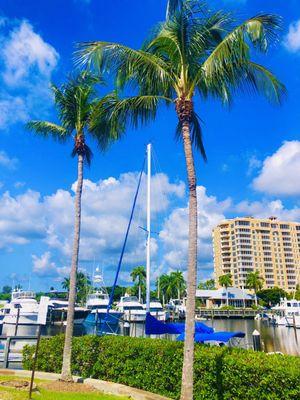 Tarpon Point