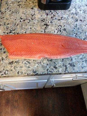 Steelhead Filet