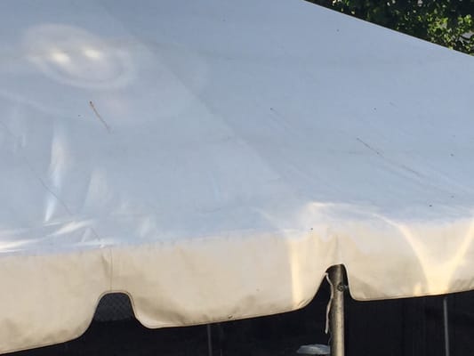 Dirty tent that was delivered to my home for a large family event.