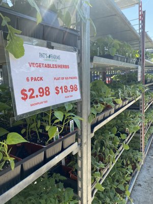 Vegetable 6 packs to plant